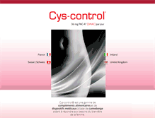 Tablet Screenshot of cyscontrol.com